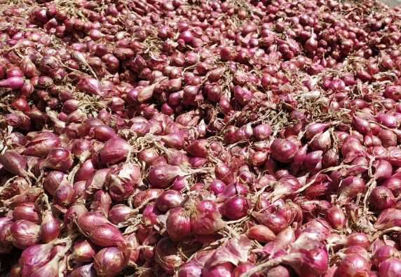 Bawang Merah